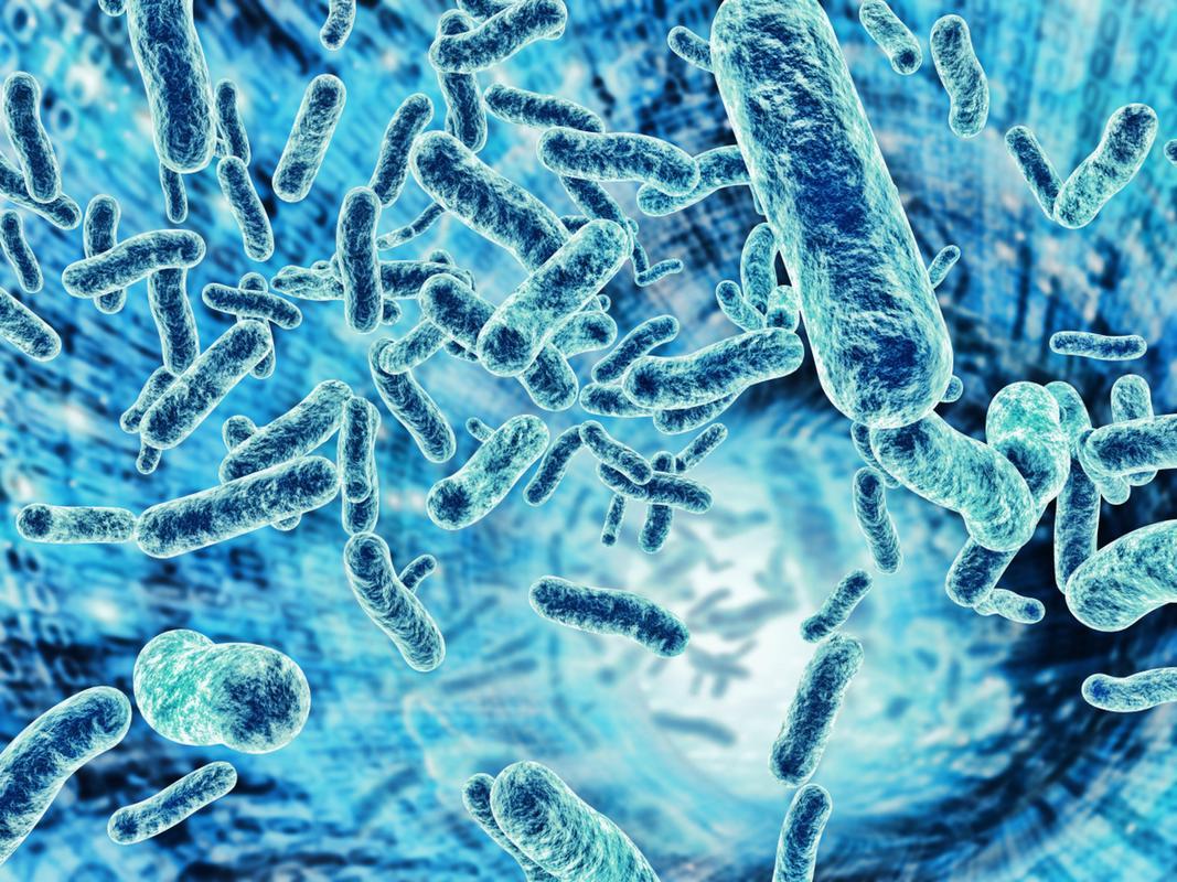 微生物学专业导师